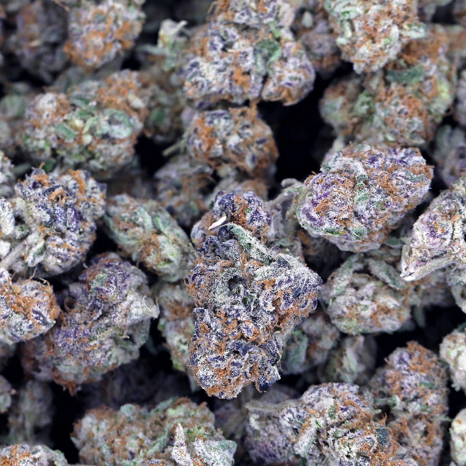 Grape Zkittles THCa Flower *Exotic* - Image 2